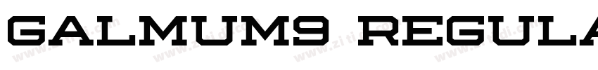 galmum9 regular字体转换